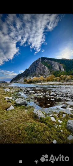 Однодневные поездки