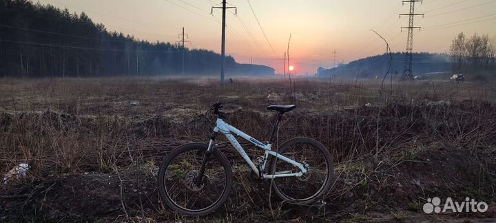 Trek Jack 3 (Street/Dirt)
