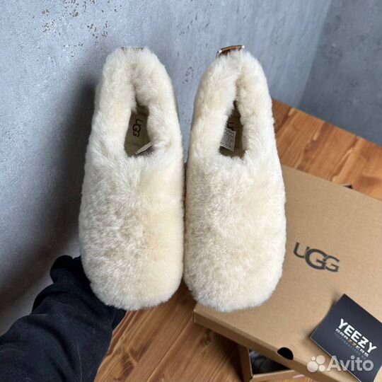 Женские Ugg Hailey Fluff Slippers Natural