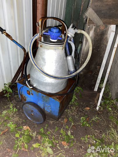 Доильный аппарат бу