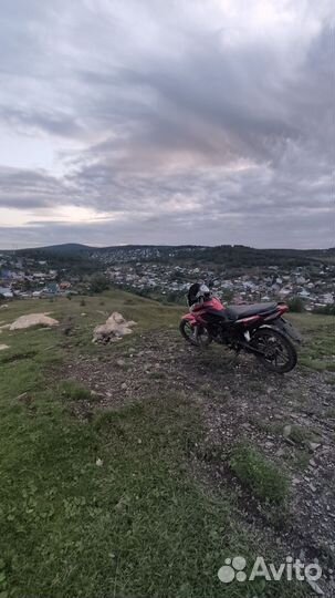 Рейсер 130