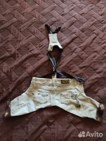 Одежда для собак мелких пород