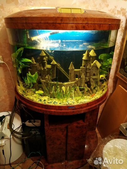 Аквариум панарама jebo