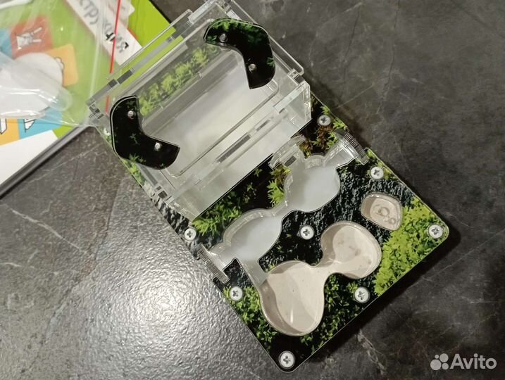 Ферма муравьиная