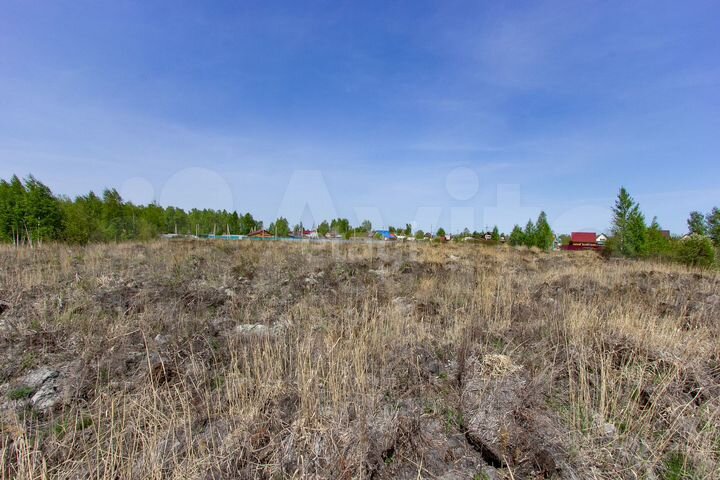 Участок 9,1 сот. (СНТ, ДНП)