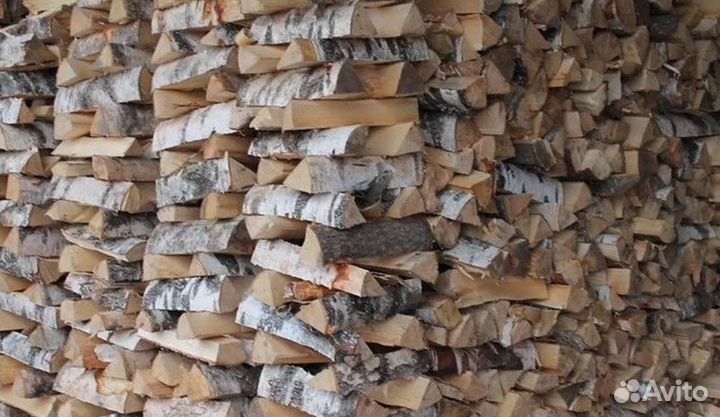 Дрова осина