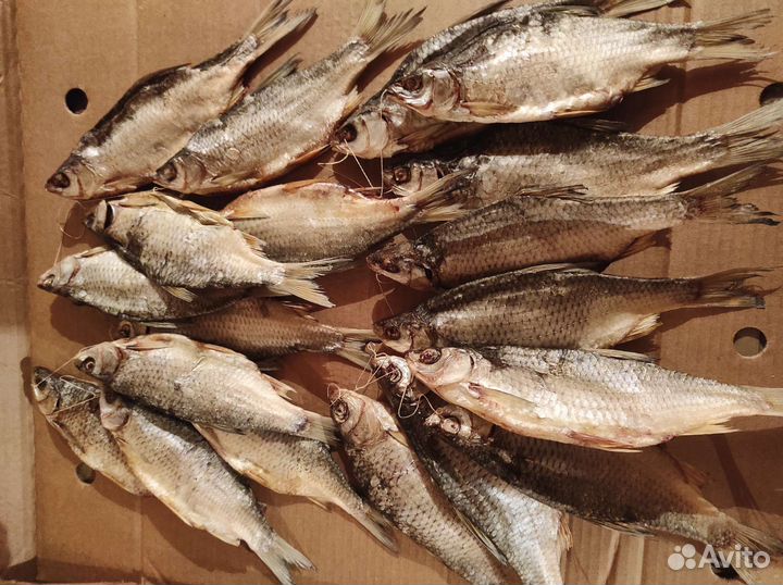 Рыба в розницу