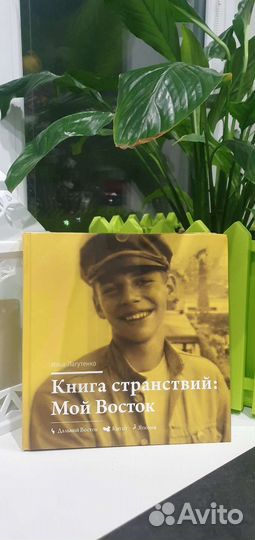 Илья Лагутенко Мумий тролль Книга странствий