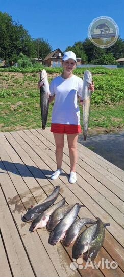 Рыбалка в Астрахани