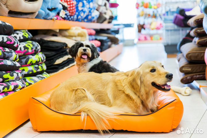 Продаётся прибыльная ветеринарная аптека