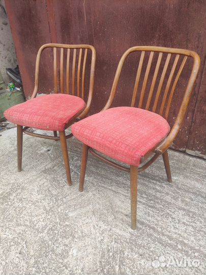 Стулья винтажные Шуман Чехословакия mid century