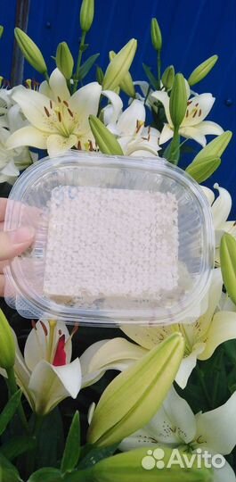 Мед в сотах