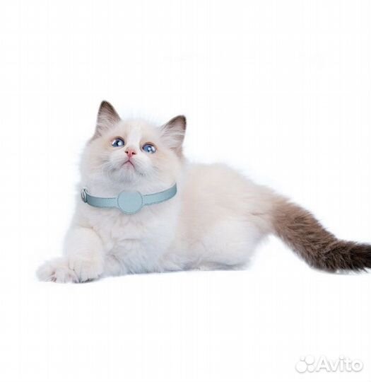Ошейник airtag для собак и кошек