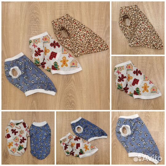 Одежда для собак