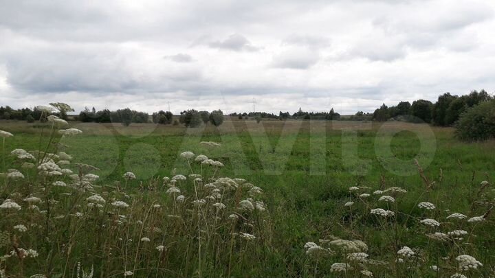 Участок 16 сот. (ИЖС)