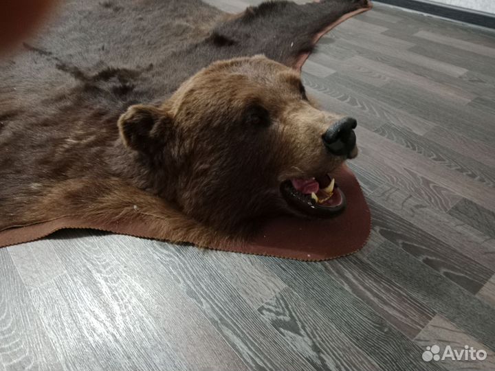 Шкура медведя имитация