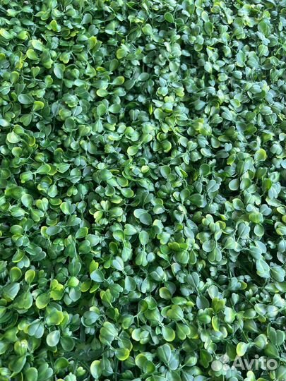 Трава искусственная самшит газон