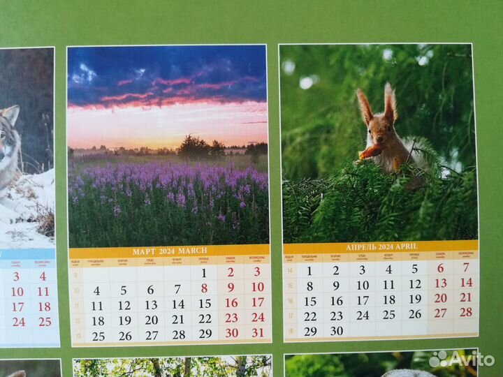 Бесплатно. Сказки волшебного леса.Календарь 2024