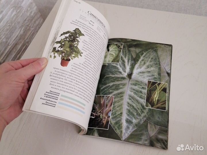 Книга Всё о комнатных растениях, очищающих воздух