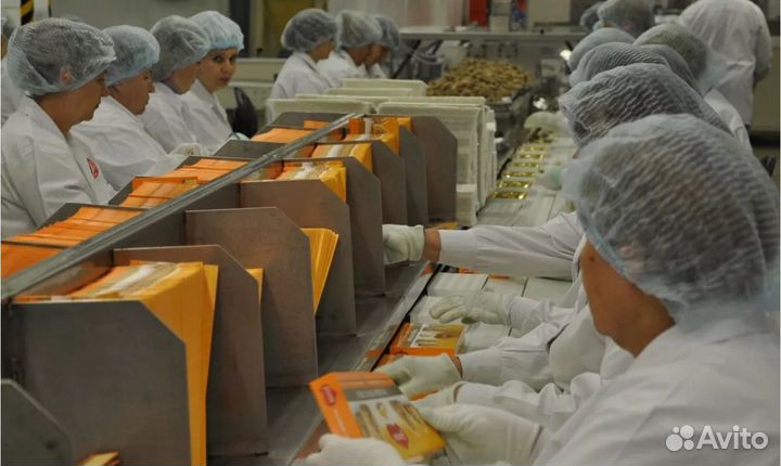 Москва Вахта - Упаковщик в рц шоколадных конфет