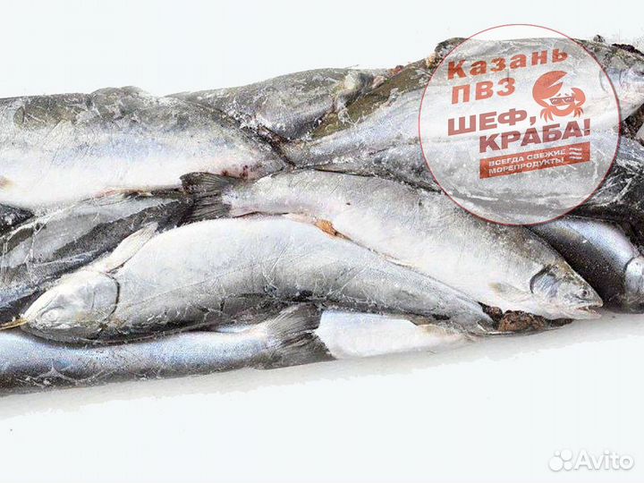 Рыба голец свежемороженый