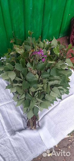 Берёзовые веники (микс)