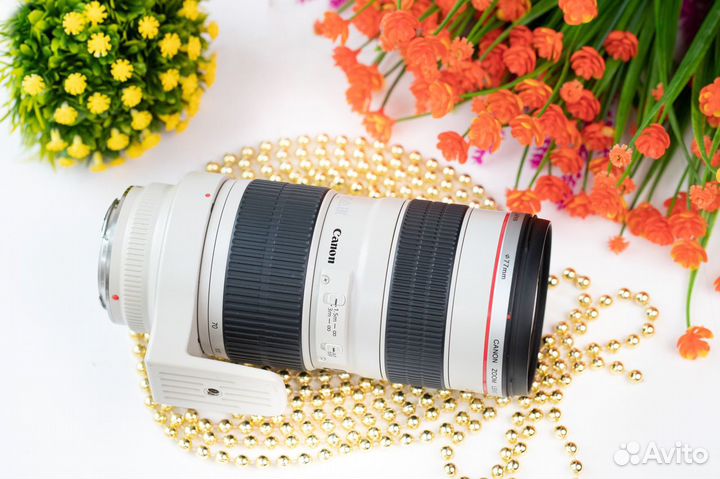 Canon EF 70-200mm f/2.8L USM