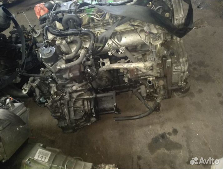 Двигатель Nissan X-Trail T30 2.2 YD22DDTi