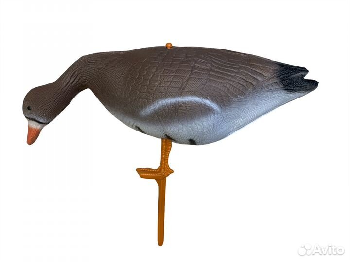 10 шт. Чучело белолобого гуся