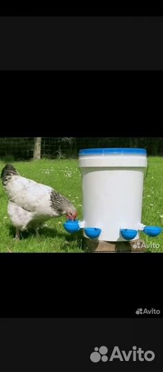Чашечная поилка для кур