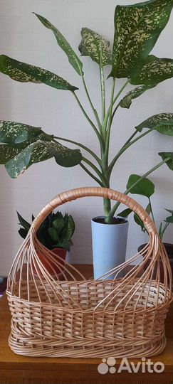 Модельные плетеные корзины