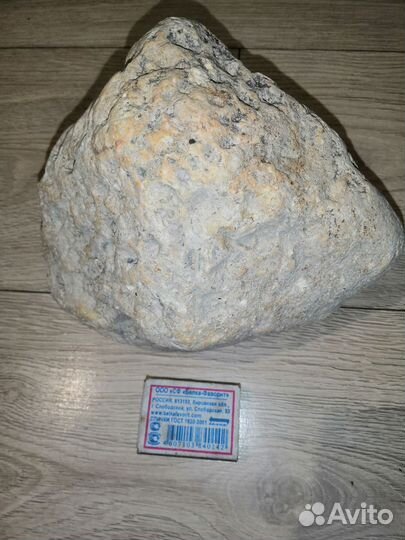 Камни морские