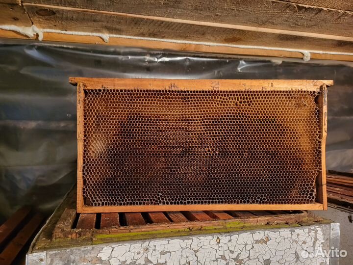 Медогонка 4 рамочная бу