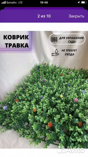 Искуственная трава. Самшитовый ковиик