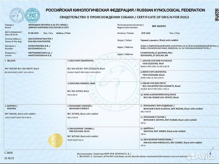 Самец Немецкая овчарка для вязки