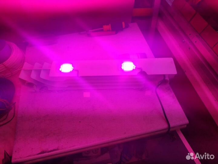 Фитолампа led 100 watt