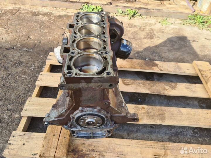 Двигатель X RAY, renault