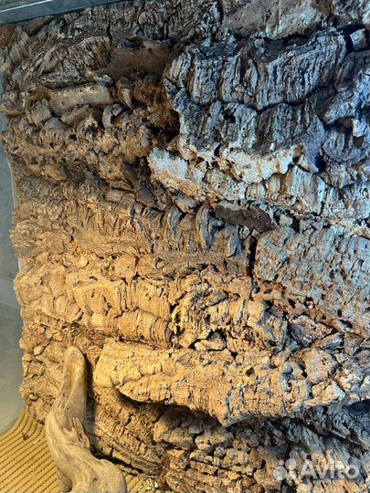 Террариум для рептилий