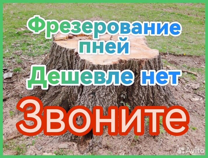 Удаление пней Фрезеровка пней