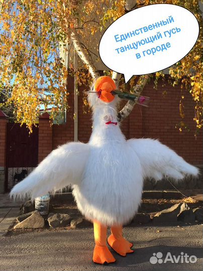 Детский аниматор