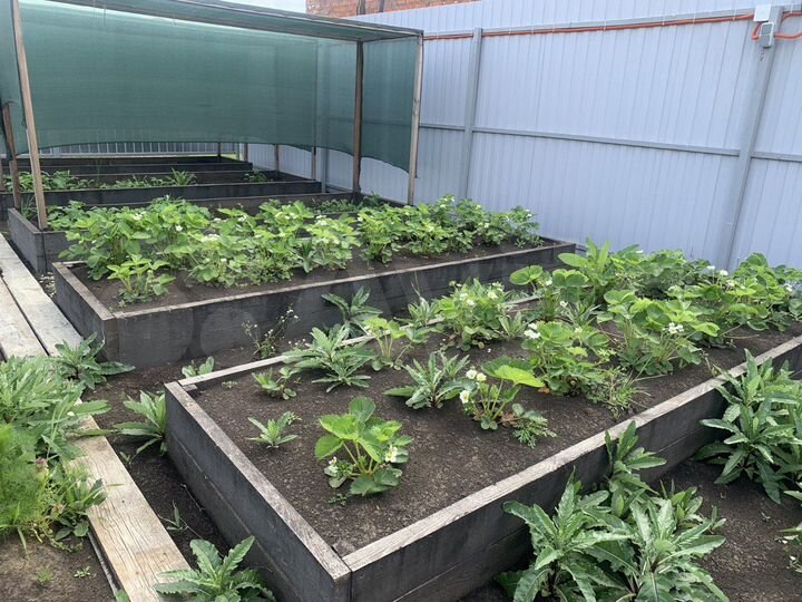 Участок 10 сот. (ИЖС)