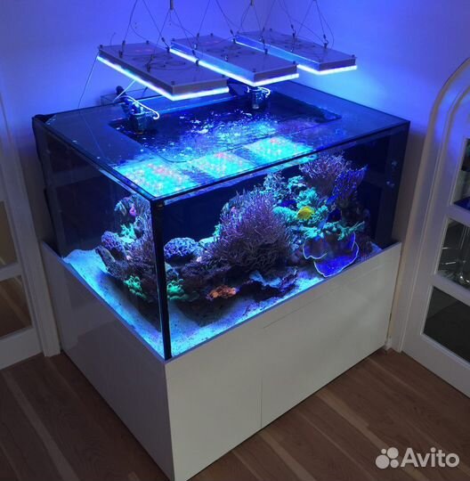 Аквариум под ключ