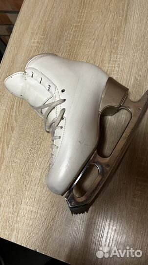 Фигурные коньки Edea Chorus 260 + Matrix Legacy