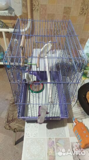 Клетка для волнистого попугая