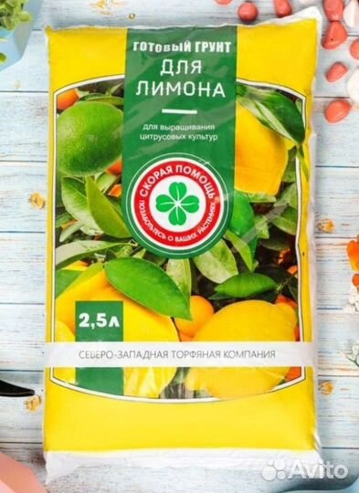 Грунт для цитрусовых