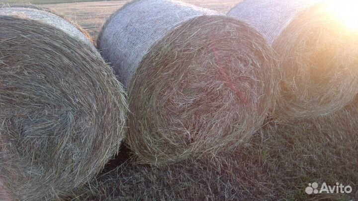 Сено с доставкой