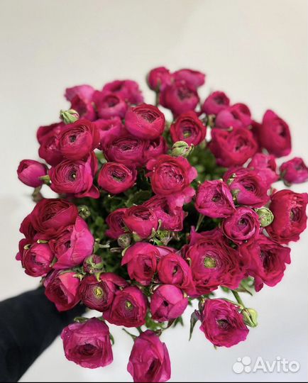 Ранунклюсы цветы букеты пионы с доставкой