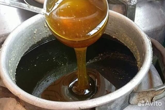 Мед оптом от производителя