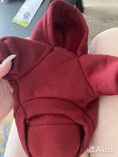 Вещи для собак