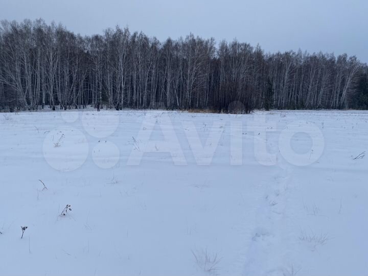 Участок 16 сот. (ИЖС)